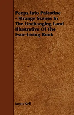 Bepillantások Palesztinába - Különös jelenetek a változatlan földön Az örökké élő könyv illusztrációja - Peeps Into Palestine - Strange Scenes In The Unchanging Land Illustrative Of The Ever-Living Book