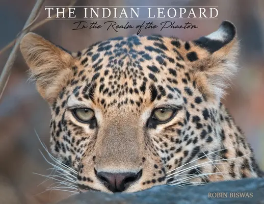 Az indiai leopárd: A fantom birodalmában - The Indian Leopard: In the Realm of the Phantom