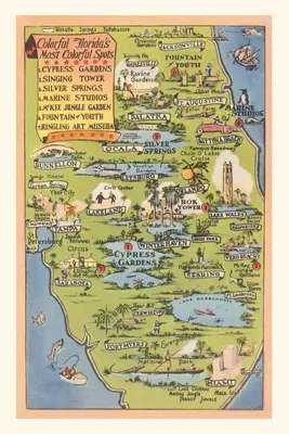 Vintage Journal Flamingo fészkelés Stuart, Florida, Florida - Vintage Journal Flamingo Nesting in Stuart, Florida