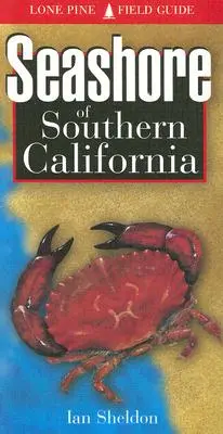 Dél-Kalifornia tengerpartja - Seashore of Southern California