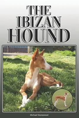 Az ibizai vadászkutya: A Complete and Comprehensive Owners Guide To: Vásárlás, birtoklás, egészség, ápolás, kiképzés, engedelmesség, megértés és - The Ibizan Hound: A Complete and Comprehensive Owners Guide To: Buying, Owning, Health, Grooming, Training, Obedience, Understanding and