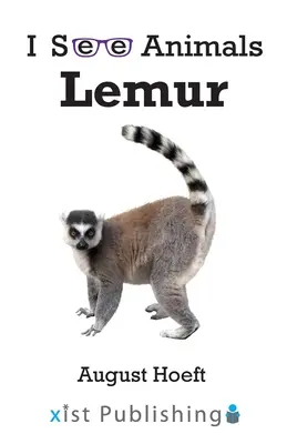 Lemúr - Lemur