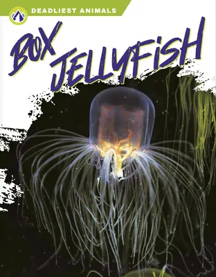 Dobozmedúza - Box Jellyfish