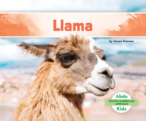 Láma - Llama