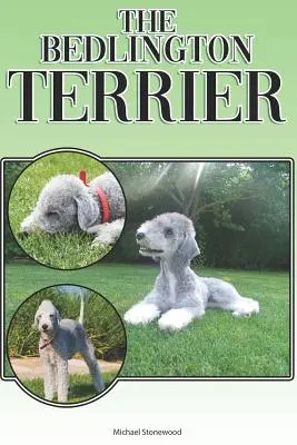 A bedlington terrier: A Complete and Comprehensive Beginners Guide To: Vásárlás, birtoklás, egészség, ápolás, kiképzés, engedelmesség, megértés. - The Bedlington Terrier: A Complete and Comprehensive Beginners Guide To: Buying, Owning, Health, Grooming, Training, Obedience, Understanding