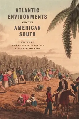 Atlantské prostředí a americký jih - Atlantic Environments and the American South
