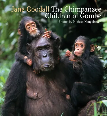 Gombe csimpánz gyermekei - Chimpanzee Children of Gombe