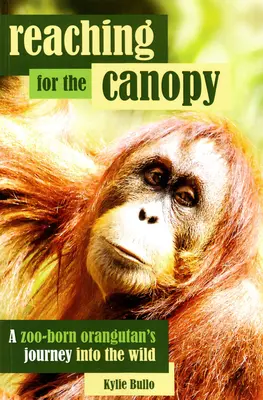 A lombkoronához érve: Egy állatkertben született orangután útja vissza a vadonba - Reaching for the Canopy: A Zoo-Born Orangutan's Journey Back to the Wild