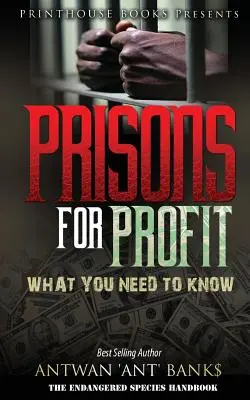 Börtönök a profitért: Amit tudnod kell! - Prisons for Profit: What you need to know!