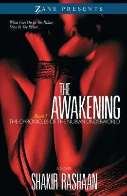 Ébredés: A núbiai alvilág krónikáinak első könyve - Awakening: Book One of the Chronicles of the Nubian Underworld