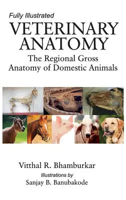 Állatorvosi anatómia: A háziállatok regionális bruttó anatómiája: Teljesen illusztrált - Veterinary Anatomy: The Regional Gross Anatomy of the Domestic Animals: Fully Illustrated