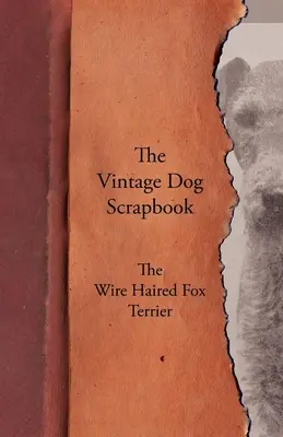 A Vintage Dog Scrapbook - A drótszőrű foxterrier - The Vintage Dog Scrapbook - The Wire Haired Fox Terrier