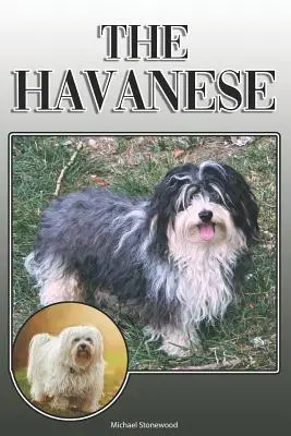 A havanese: A Complete and Comprehensive Owners Guide To: Vásárlás, birtoklás, egészség, ápolás, kiképzés, engedelmesség, megértés és - The Havanese: A Complete and Comprehensive Owners Guide To: Buying, Owning, Health, Grooming, Training, Obedience, Understanding and