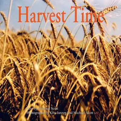 Szüreti idő - Harvest Time