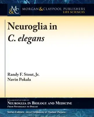 Neuroglia a C. elegansban - Neuroglia in C. elegans