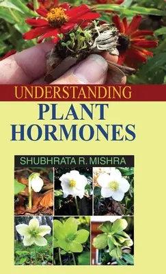 A növényi hormonok megértése - Understanding Plant Hormones