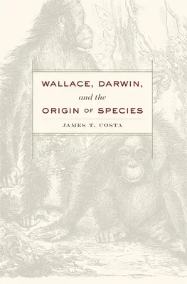 Wallace, Darwin és a fajok eredete - Wallace, Darwin, and the Origin of Species