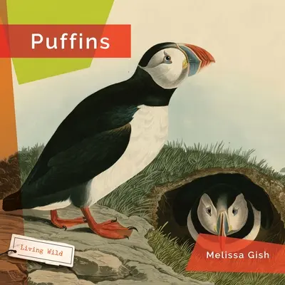 Puffinok - Puffins