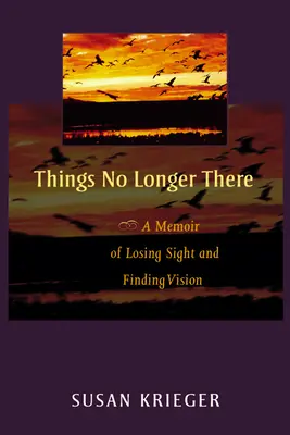 A dolgok már nem ott vannak: A látás elvesztésének és a látás megtalálásának memoárja - Things No Longer There: A Memoir of Losing Sight and Finding Vision