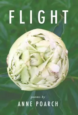 Repülés: pillangókról, vörösbegyekről és más szárnyas álmokról - Flight: of butterflies and robins and other winged dreams