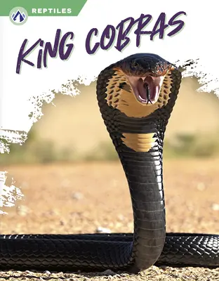 Kobrakirály - King Cobras