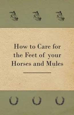 Hogyan ápoljuk a lovak és öszvérek lábát? - How to Care for the Feet of your Horses and Mules