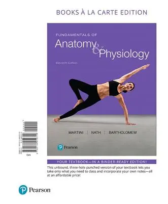 Az anatómia és élettan alapjai - Fundamentals of Anatomy & Physiology