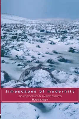 A modernitás időterei: A környezet és a láthatatlan veszélyek - Timescapes of Modernity: The Environment and Invisible Hazards