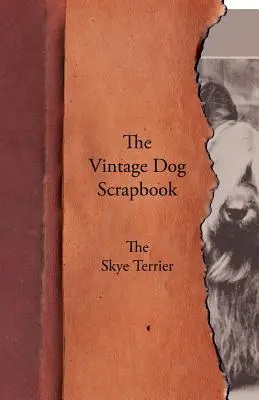 A Vintage Dog Scrapbook - A Skye Terrier - The Vintage Dog Scrapbook - The Skye Terrier