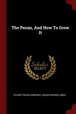 A pekándió, és hogyan kell termeszteni - The Pecan, And How To Grow It