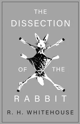 A nyúl boncolása - The Dissection of the Rabbit