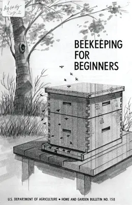 Méhészet kezdőknek - Beekeeping for Beginners