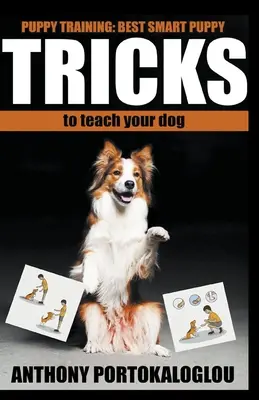 Kutyatrükkök: A legjobb okos kutyatrükkök, amiket rekordidő alatt megtaníthatsz a kutyádnak - Dog Tricks: Best Smart Dog Tricks to Teach Your Dog in Record Time