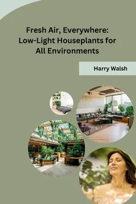Friss levegő, mindenütt: Gyenge fényű szobanövények minden környezetbe - Fresh Air, Everywhere: Low-Light Houseplants for All Environments
