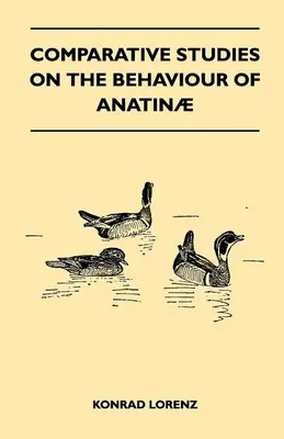 Összehasonlító tanulmányok az Anatinae viselkedéséről - Comparative Studies on the Behaviour of Anatinae