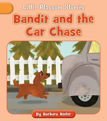 Bandita és az autós üldözés - Bandit and the Car Chase