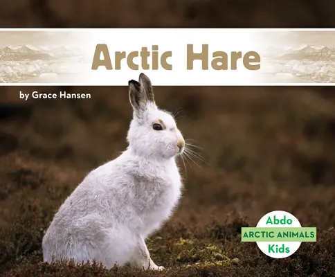 Sarkvidéki nyúl - Arctic Hare