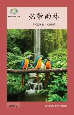 热带雨林: Trópusi erdő - 热带雨林: Tropical Forest