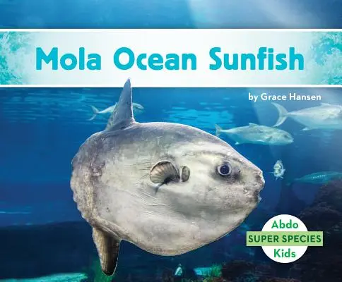 Mola óceáni naphal - Mola Ocean Sunfish