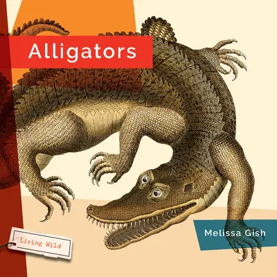 Alligátorok - Alligators