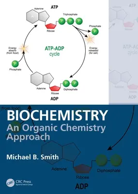 Biokémia: A szerves kémia megközelítése - Biochemistry: An Organic Chemistry Approach