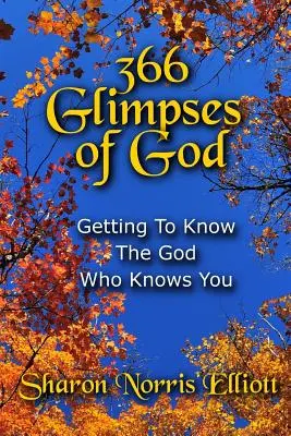 366 pillantás Istenre: Ismerkedés azzal az Istennel, aki ismer téged - 366 Glimpses Of God: Getting To Know The God Who Knows You