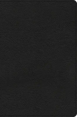 CSB Everyday Study Bible (CSB Hétköznapi tanulmányi Biblia), Fekete Bonded Leather (Kötött bőr) - CSB Everyday Study Bible, Black Bonded Leather