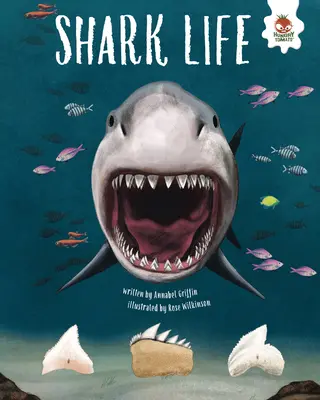 Cápák élete - Shark Life