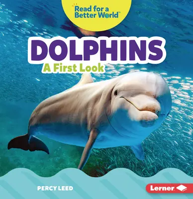 Delfinek: A First Look - Dolphins: A First Look