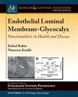 Endothelial Luminal Membrane-Glycocalyx: Funkcionalitások az egészségben és a betegségben - Endothelial Luminal Membrane-Glycocalyx: Functionalities in Health and Disease