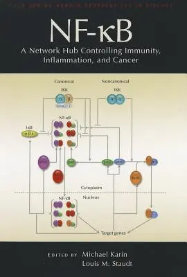 Nf-Kb, az immunitást, a gyulladást és a rákot irányító hálózati csomópont - Nf-Kb, a Network Hub Controlling Immunity, Inflammation, and Cancer