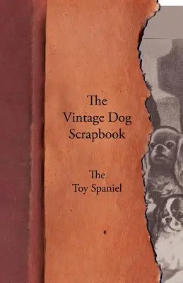 A Vintage Dog Scrapbook - A Toy spániel - The Vintage Dog Scrapbook - The Toy Spaniel