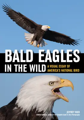 Kopasz sasok a vadonban: Vizuális esszé Amerika nemzeti madaráról - Bald Eagles in the Wild: A Visual Essay of America's National Bird