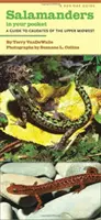 Szalamandrák a zsebedben: A Guide to Caudates of the Upper Midwest - Salamanders in Your Pocket: A Guide to Caudates of the Upper Midwest